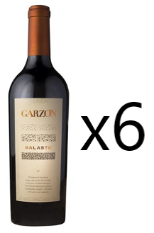 Bodega Garzon Balasto 2020 CASE OF 6