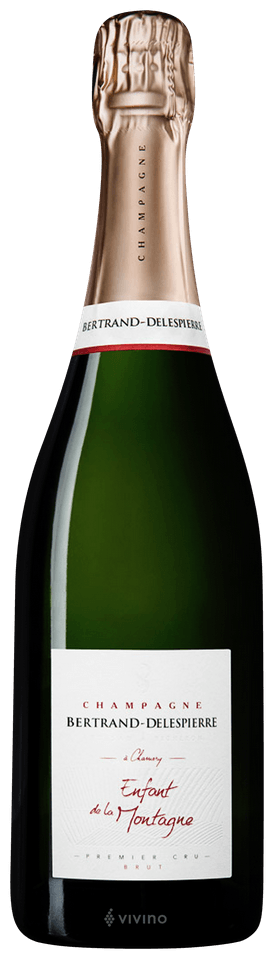 Bertrand Delespierre Enfant de la Montagne 1er Cru NV