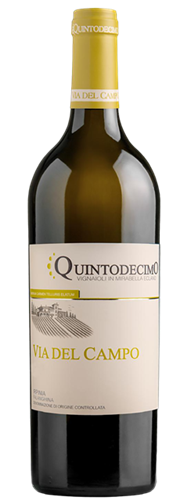 Quintodecimo Via del Campo Falanghina 2025