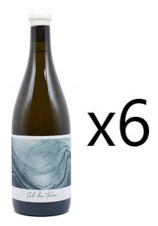 Sal da Terra Albarino 2023 CASE OF 6