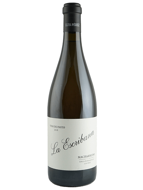 Luis Perez La Escribana 2023